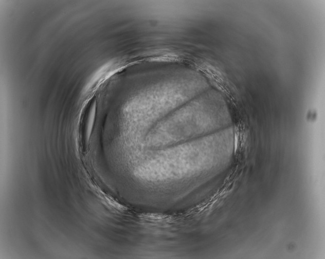 X0000098220339200805081203