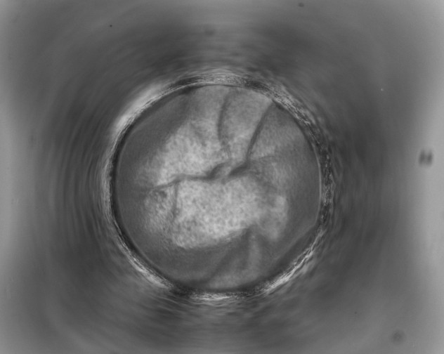 X0000098220341200805081203