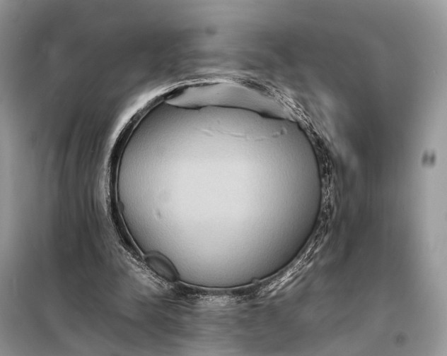 X0000098220342200805081203