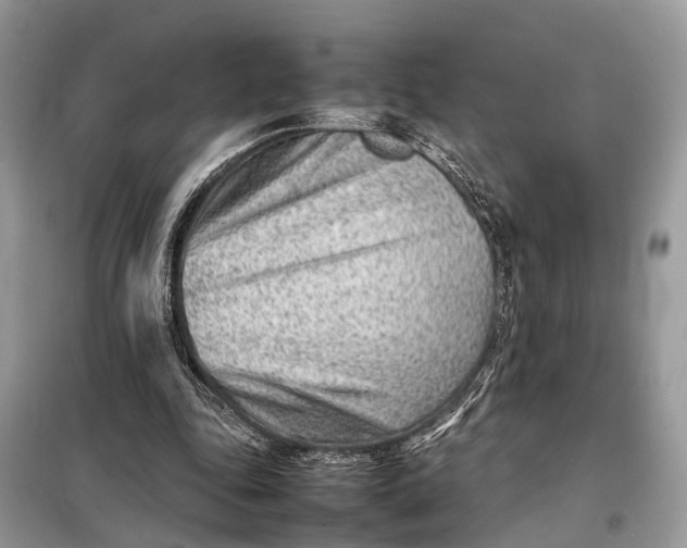 X0000098220343200805081203