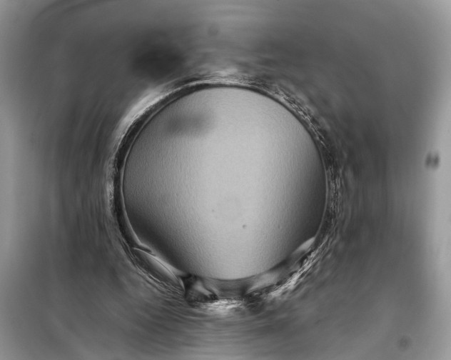 X0000098220344200805081203