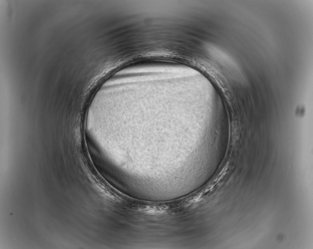 X0000098220345200805081203