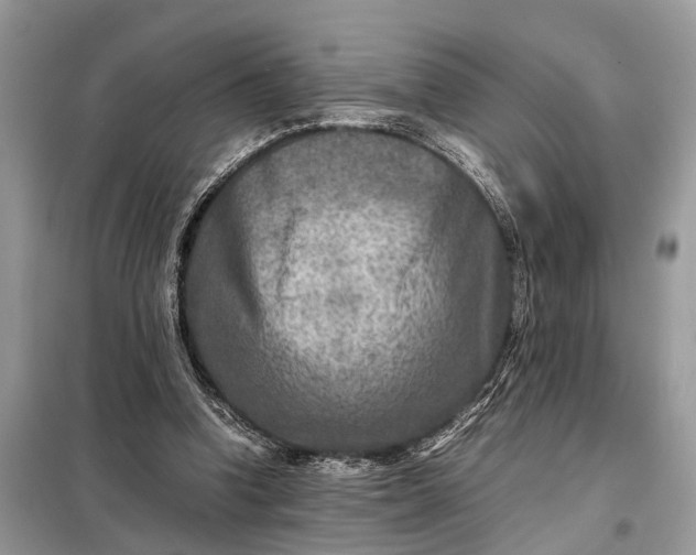 X0000098220346200805081203