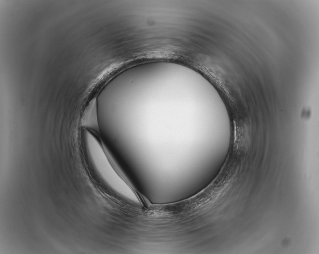 X0000098220348200805081203