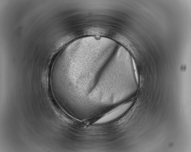 X0000098220349200805081203