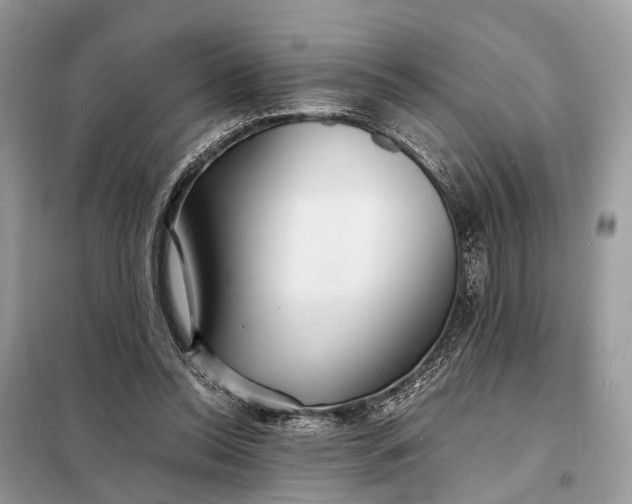 X0000098220350200805081203