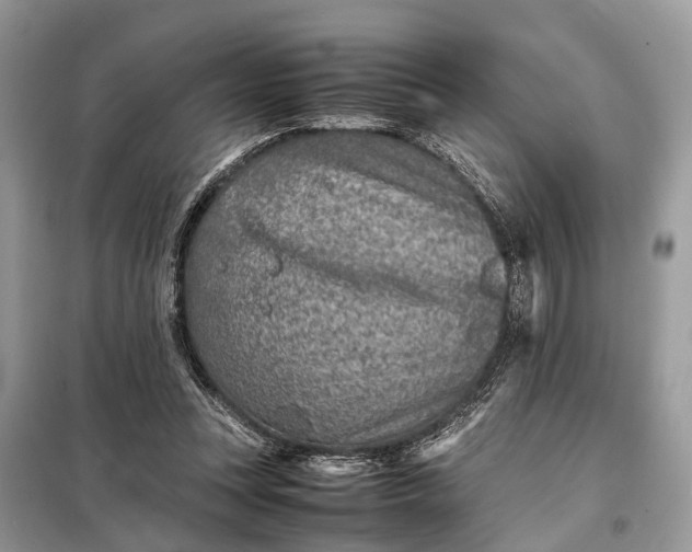 X0000098220351200805081203