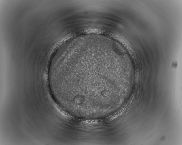 X0000098220353200805081204