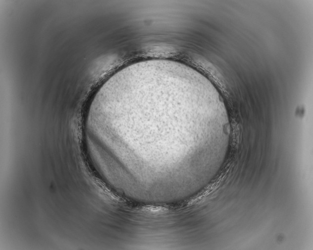 X0000098220354200805081204