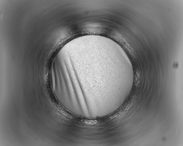 X0000098220355200805081204