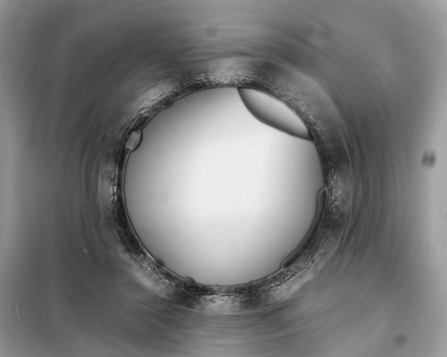 X0000098220356200805081204