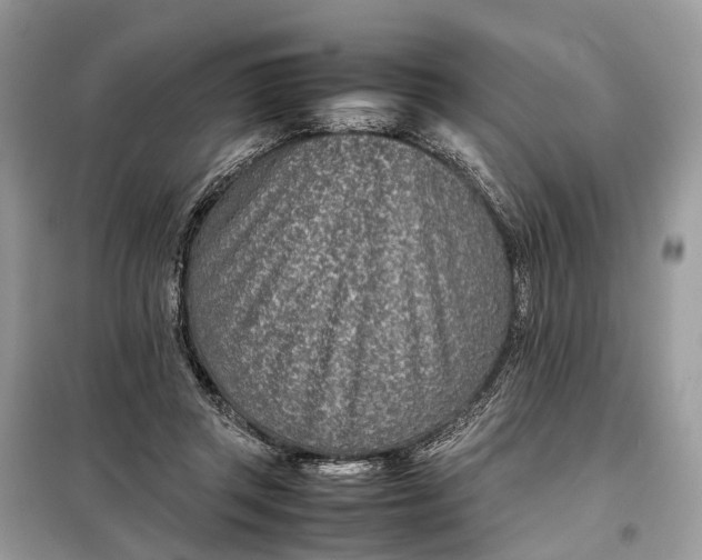 X0000098220357200805081204