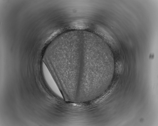 X0000098220358200805081204