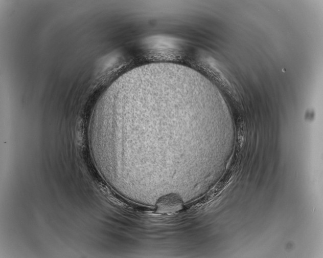 X0000098220359200805081204