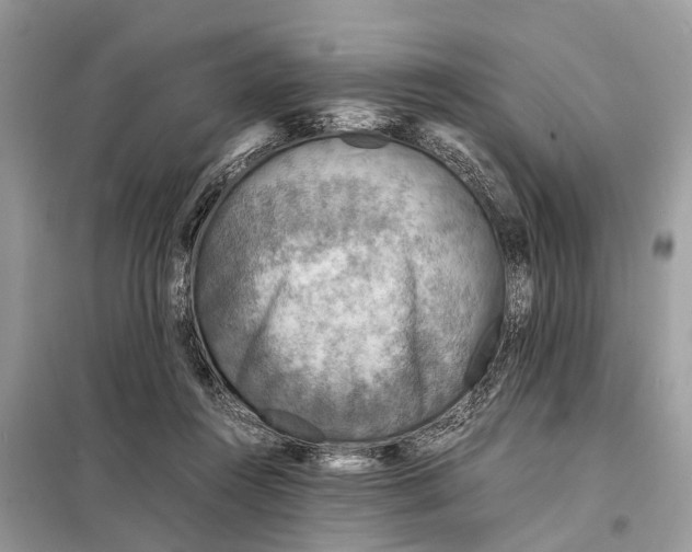 X0000098220360200805081204