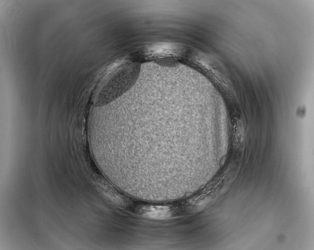 X0000098220361200805081204