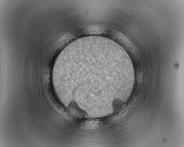 X0000098220362200805081204