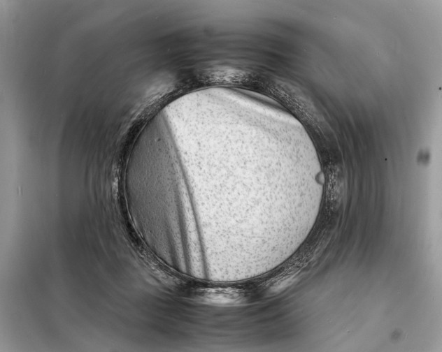 X0000098220363200805081204