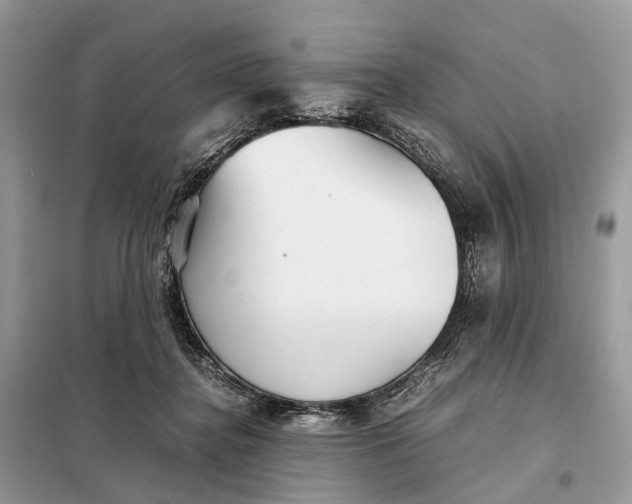 X0000098220364200805081204