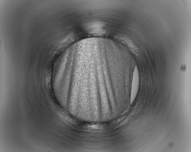 X0000098220365200805081204