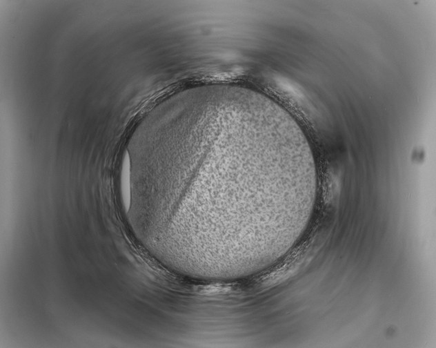 X0000098220366200805081204