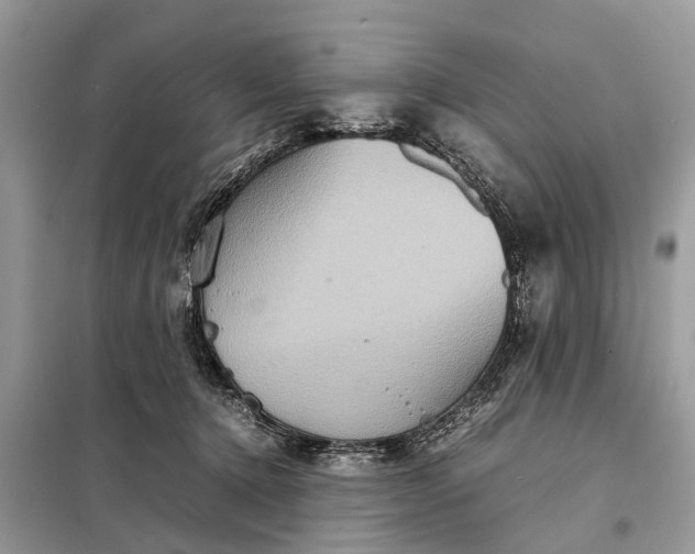 X0000098220368200805081204