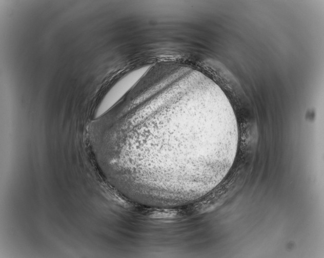 X0000098220369200805081204