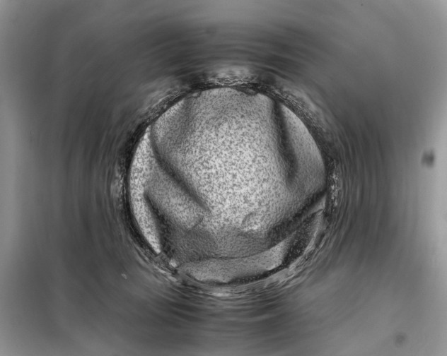 X0000098220371200805081204