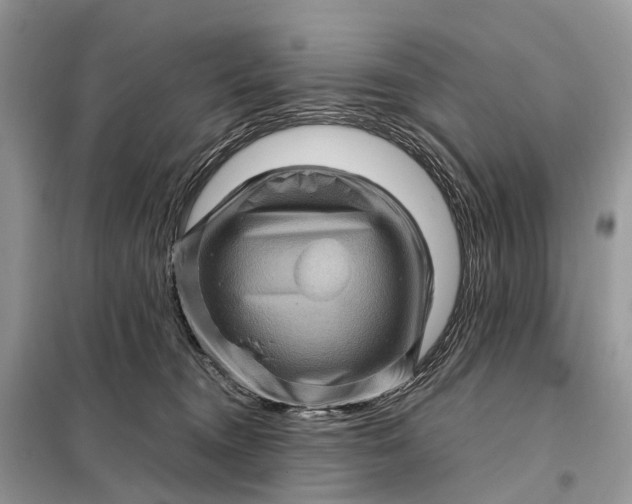 X0000098220372200805081204