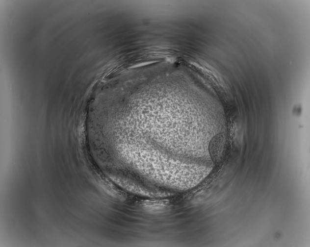 X0000098220373200805081204