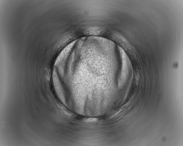 X0000098220374200805081204