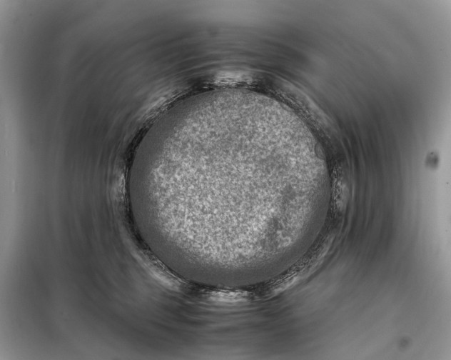 X0000098220375200805081204