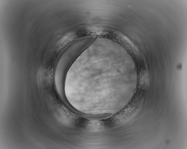 X0000098220376200805081204