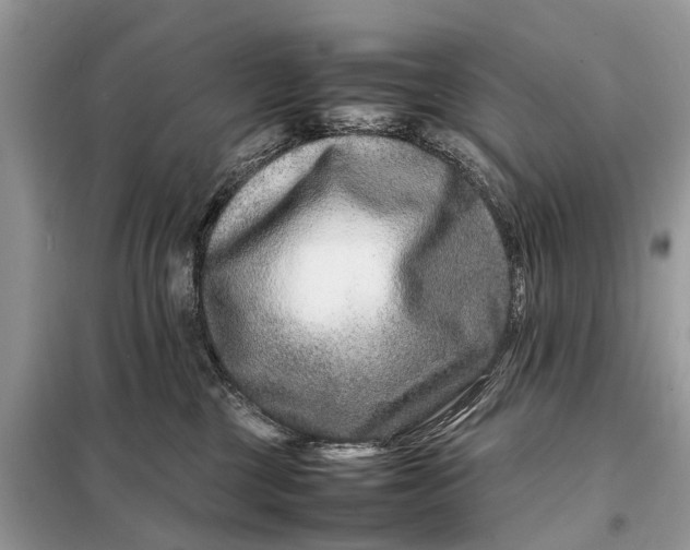 X0000098220377200805081204