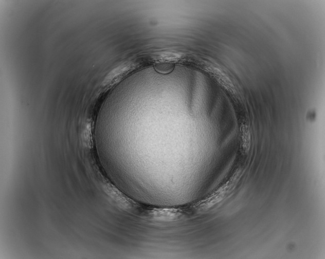 X0000098220378200805081204