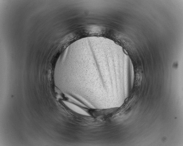 X0000098220379200805081204