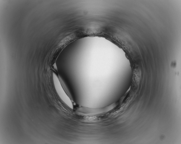 X0000098220380200805081204