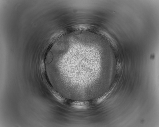 X0000098220381200805081204