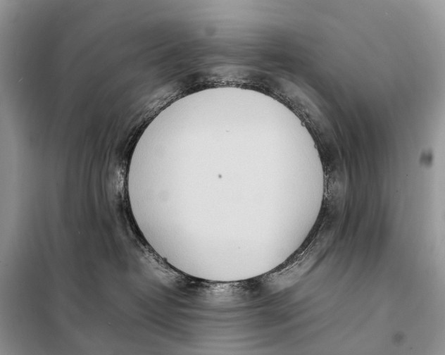 X0000098220382200805081204