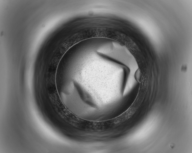 X0000098220383200805081204