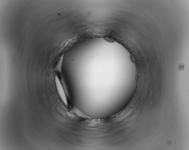 X0000098220384200805081204