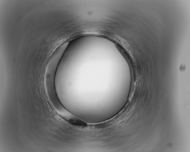 X0000098220385200805081203