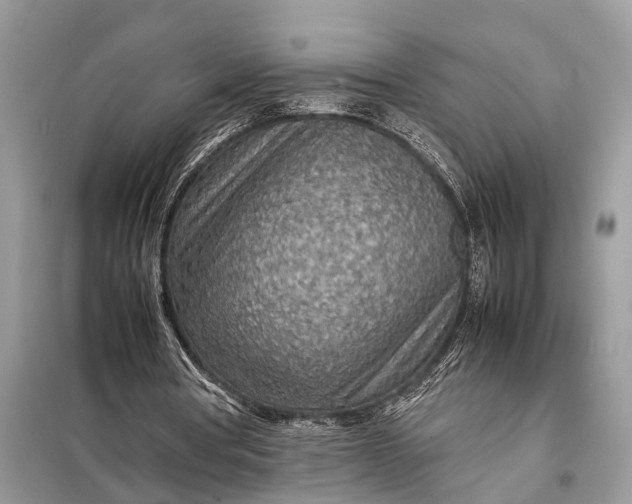 X0000098220386200805081203