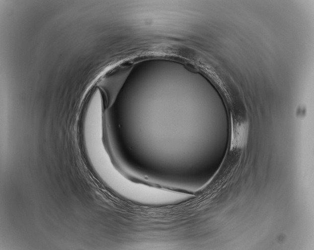 X0000098220387200805081203