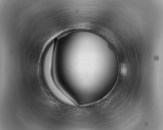 X0000098220388200805081203