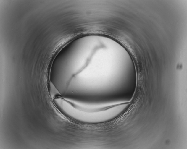 X0000098220389200805081203