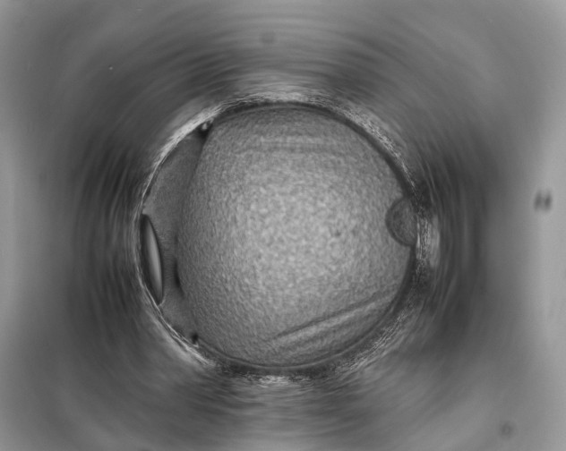 X0000098220390200805081203