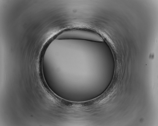 X0000098220391200805081203