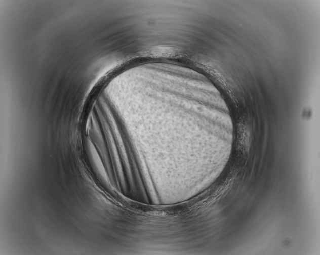 X0000098220392200805081203