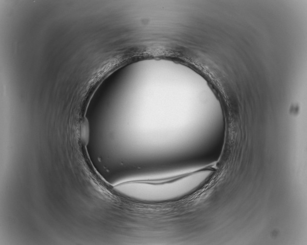 X0000098220393200805081203